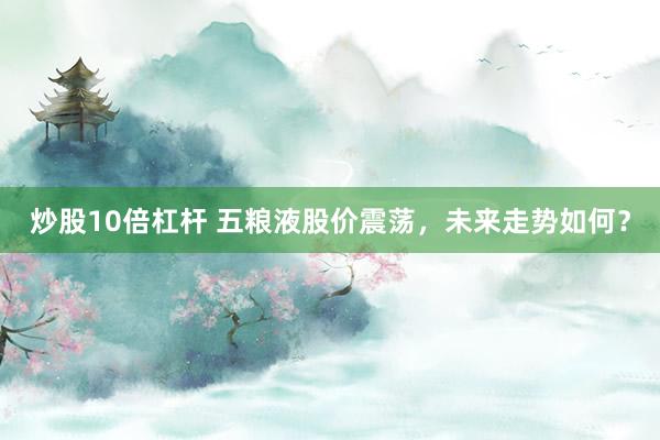 炒股10倍杠杆 五粮液股价震荡，未来走势如何？