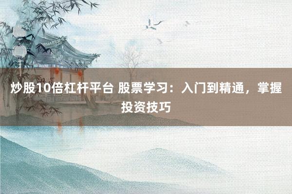 炒股10倍杠杆平台 股票学习：入门到精通，掌握投资技巧