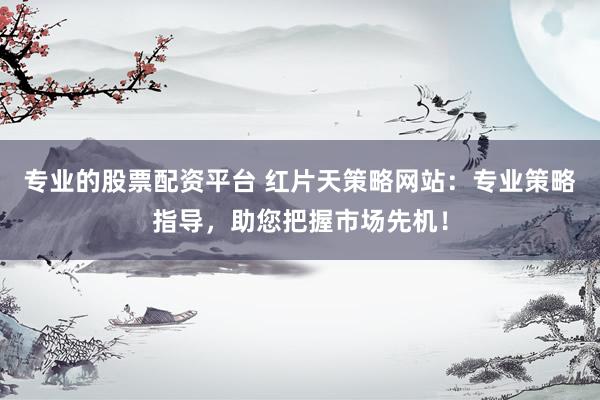 专业的股票配资平台 红片天策略网站：专业策略指导，助您把握市场先机！