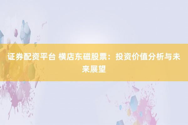 证券配资平台 横店东磁股票：投资价值分析与未来展望