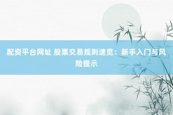 配资平台网址 股票交易规则速览:新手入门与风险提示