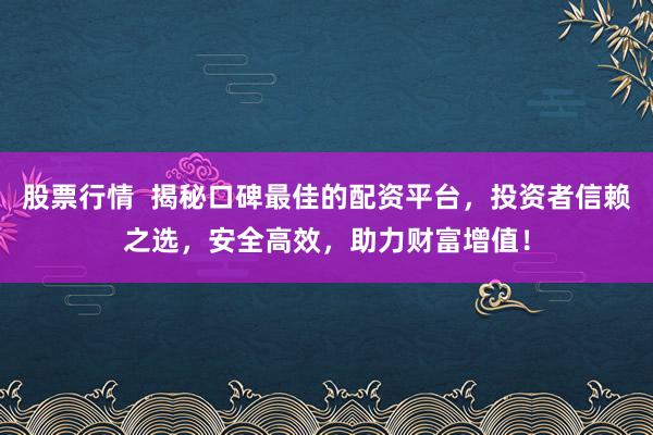 股票行情 揭秘口碑最佳的配资平台,投资者信赖之选,安全高效,助力财富增值!