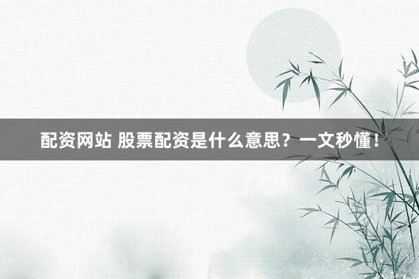 配资网站 股票配资是什么意思?一文秒懂!