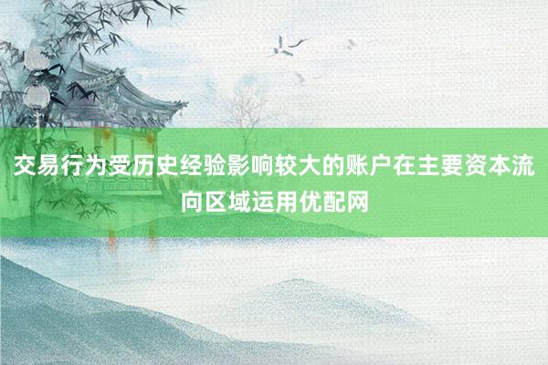 交易行为受历史经验影响较大的账户在主要资本流向区域运用优配网