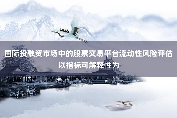 国际投融资市场中的股票交易平台流动性风险评估以指标可解释性为