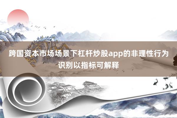 跨国资本市场场景下杠杆炒股app的非理性行为识别以指标可解释