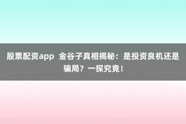 股票配资app  金谷子真相揭秘：是投资良机还是骗局？一探究竟！