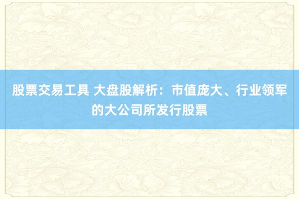 股票交易工具 大盘股解析：市值庞大、行业领军的大公司所发行股票